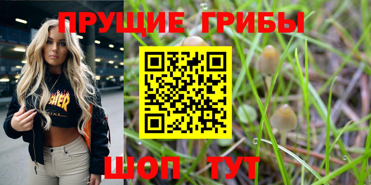 Обнинск  Псилоцибиновые грибы мухоморы  Вход с VPN 