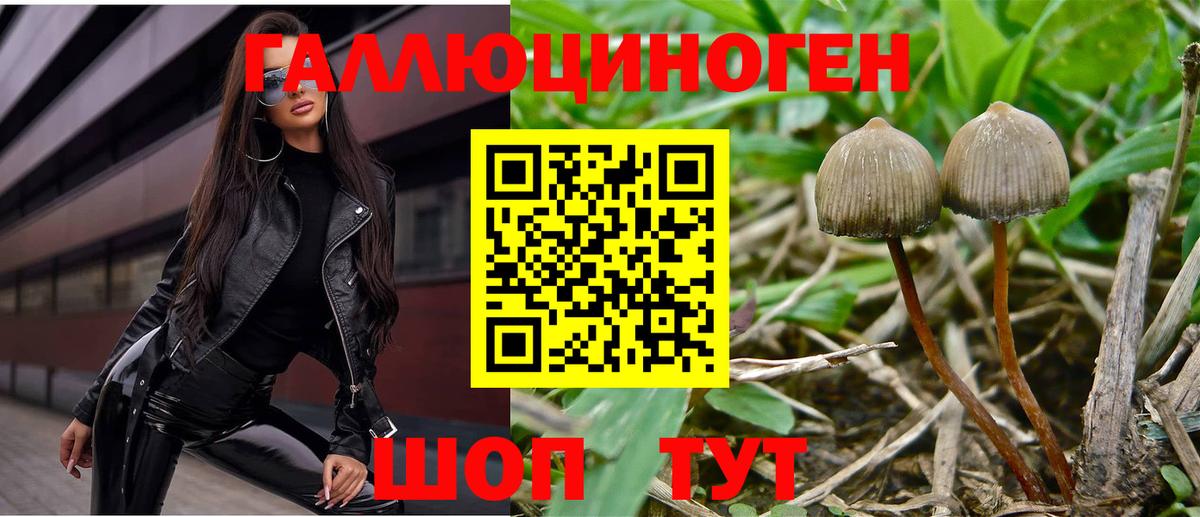 Галлюциногенные грибы прущие грибы Обнинск
